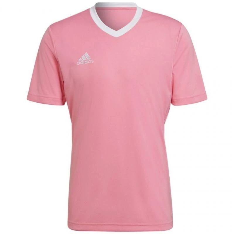Adidas Entrada 22 marškinėliai M HC5072