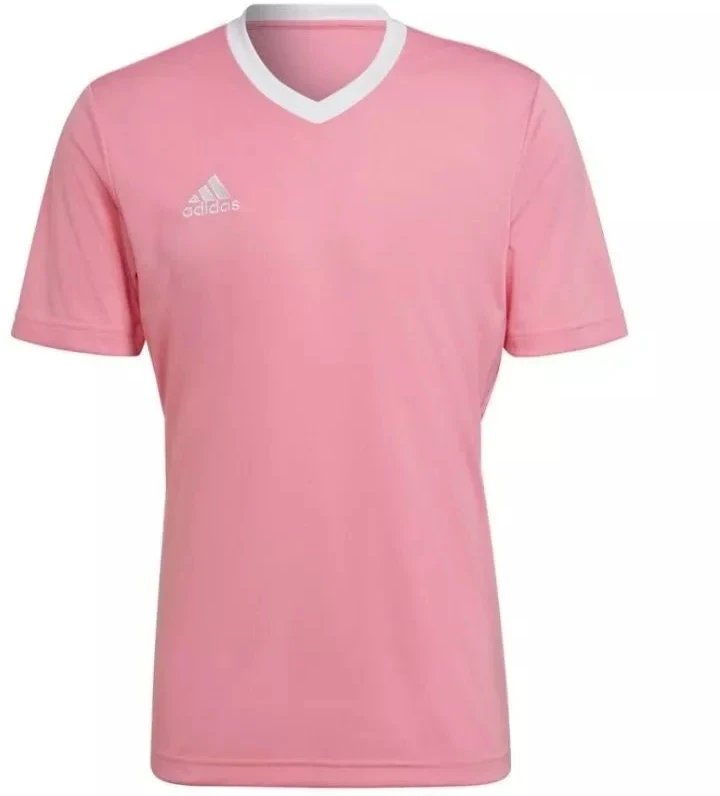 Adidas Entrada 22 marškinėliai M HC5072