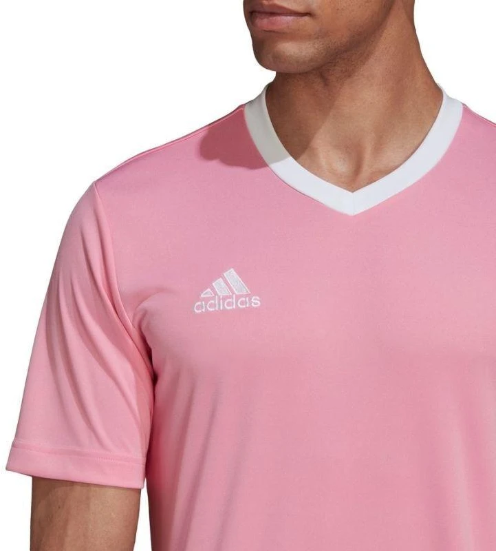 Adidas Entrada 22 marškinėliai M HC5072