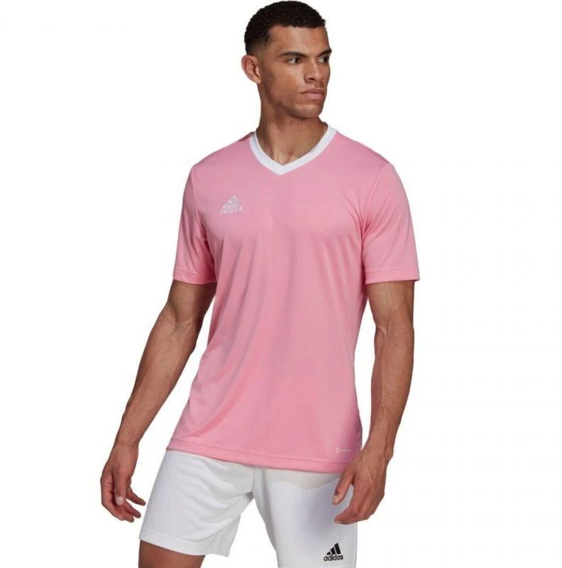 Adidas Entrada 22 marškinėliai M HC5072