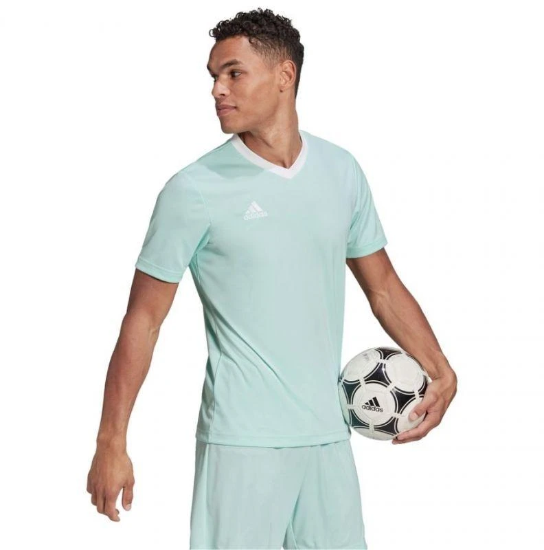 adidas Entrada 22 Marškinėliai M HC5073