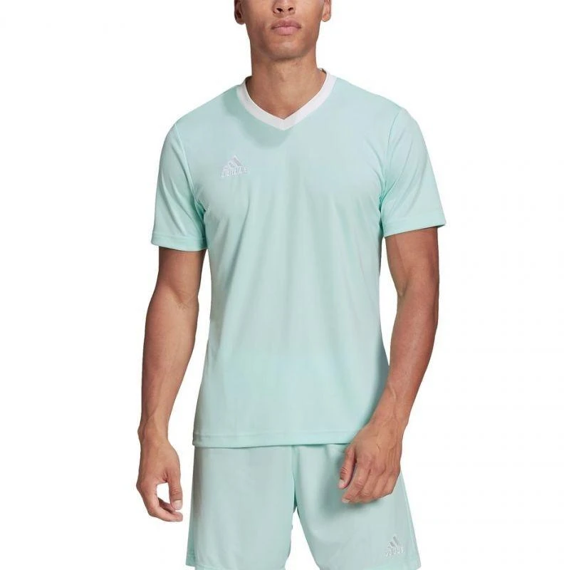 adidas Entrada 22 Marškinėliai M HC5073