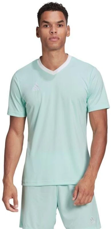 adidas Entrada 22 Marškinėliai M HC5073