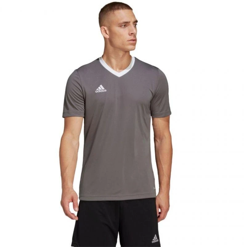 adidas Entrada 22 Marškinėliai M HE1574