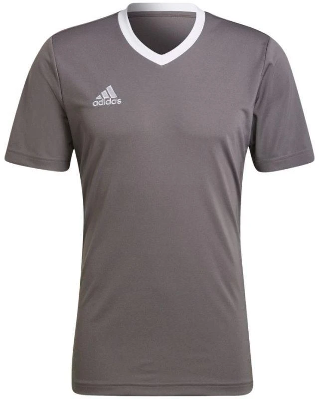 adidas Entrada 22 Marškinėliai M HE1574