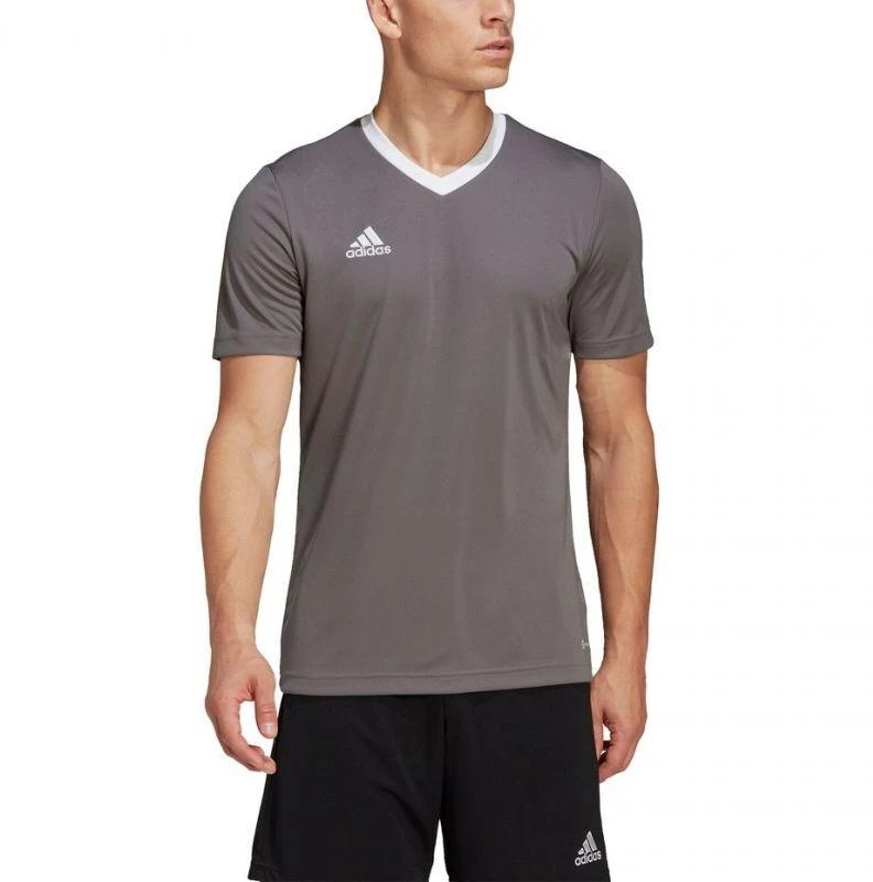 adidas Entrada 22 Marškinėliai M HE1574
