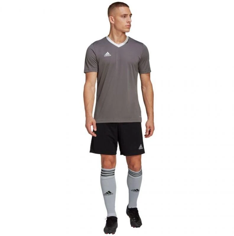 adidas Entrada 22 Marškinėliai M HE1574