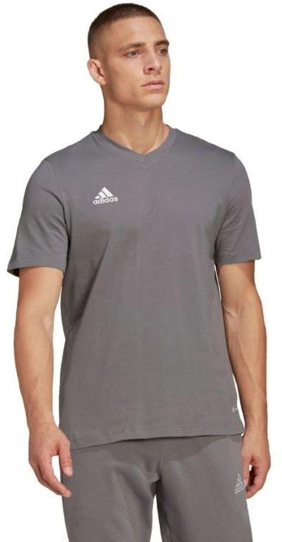 adidas Entrada 22 marškinėliai vyrams M HC0449
