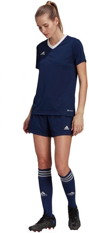 adidas Entrada 22 Marškinėliai W H59849