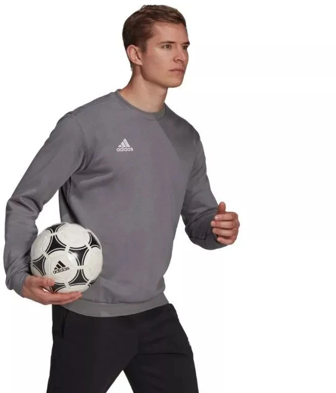 Adidas Entrada 22 Megztinis Vyrams M H57479