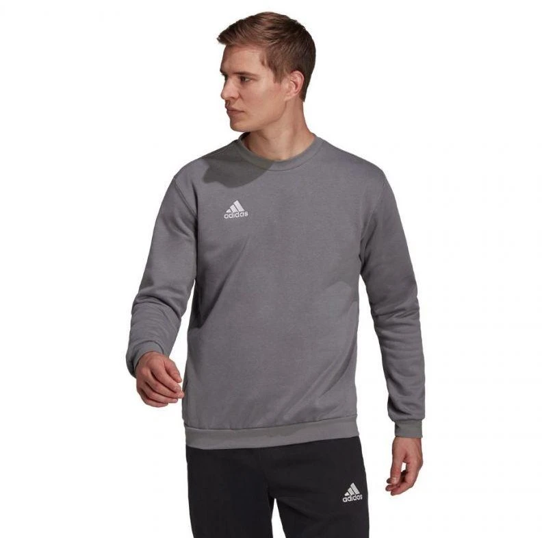 Adidas Entrada 22 Megztinis Vyrams M H57479