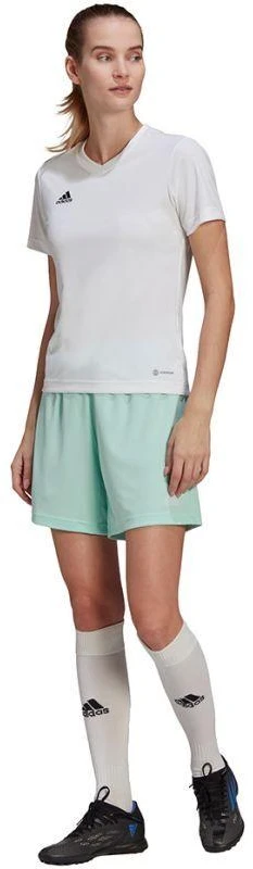 Adidas Entrada 22 moteriški marškinėliai HC5074