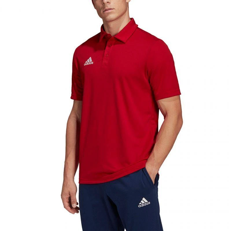 Adidas Entrada 22 Polo Marškinėliai M H57489