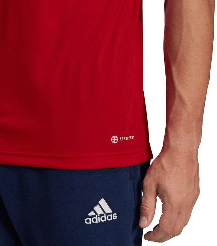 Adidas Entrada 22 Polo Marškinėliai M H57489