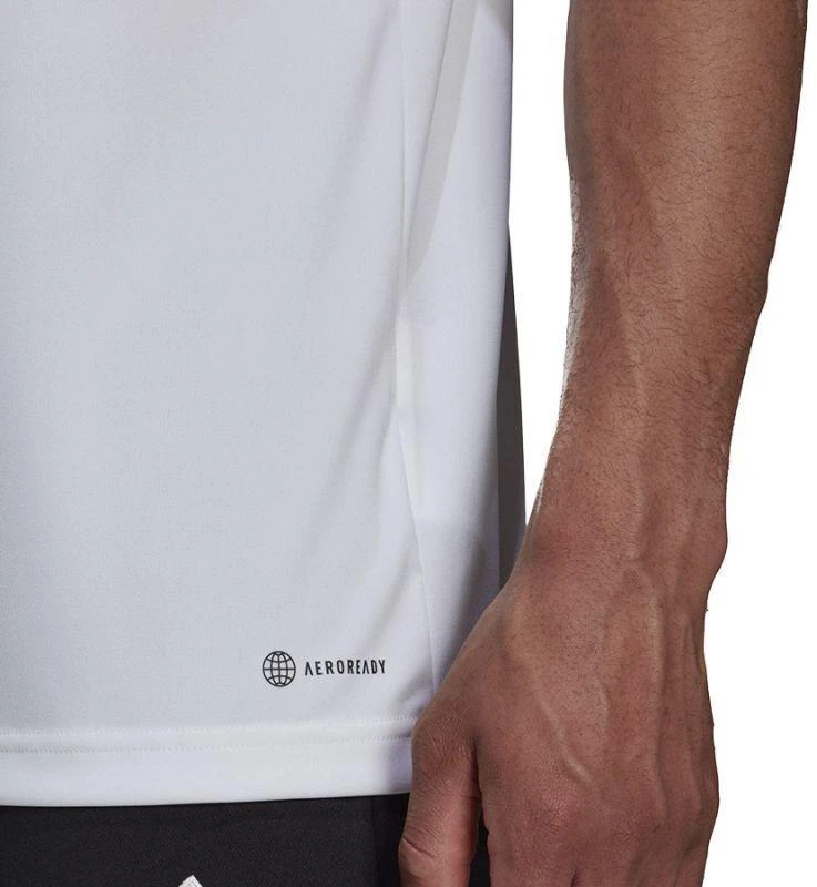 Adidas Entrada 22 Polo Marškinėliai M HC5067