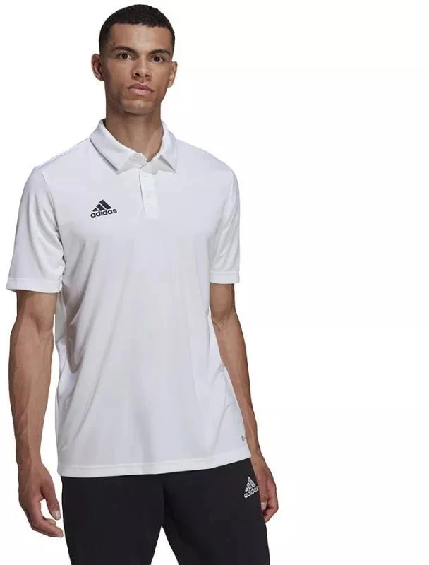 Adidas Entrada 22 Polo Marškinėliai M HC5067