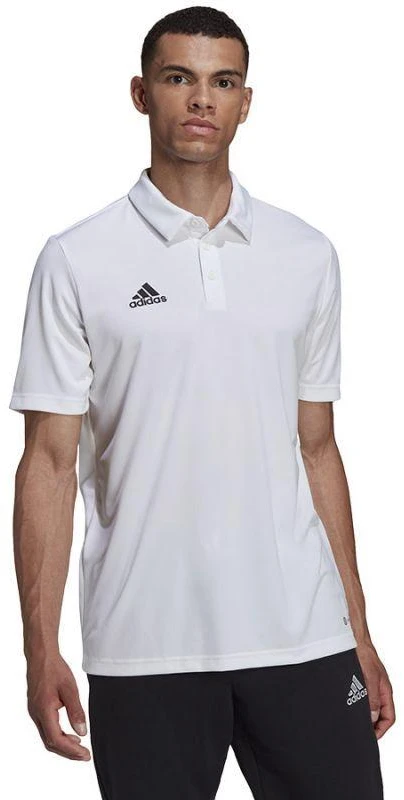 Adidas Entrada 22 Polo Marškinėliai M HC5067