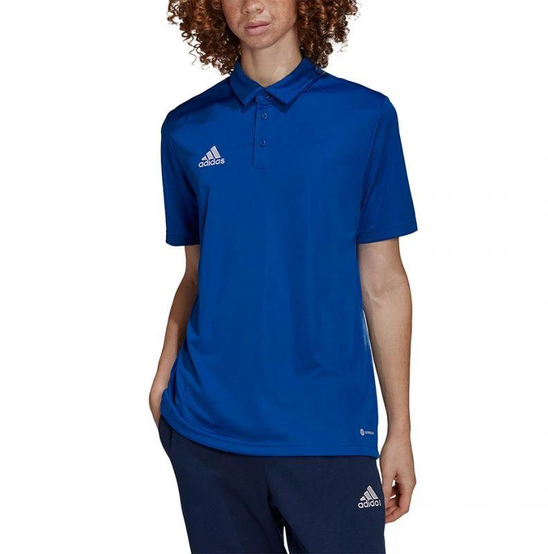 Adidas Entrada 22 Polo Marškinėliai M HG6285