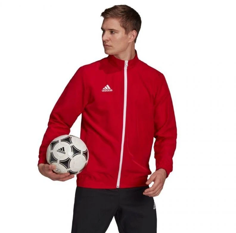 Adidas Entrada 22 Pristatymo Striukė M H57536 džemperis