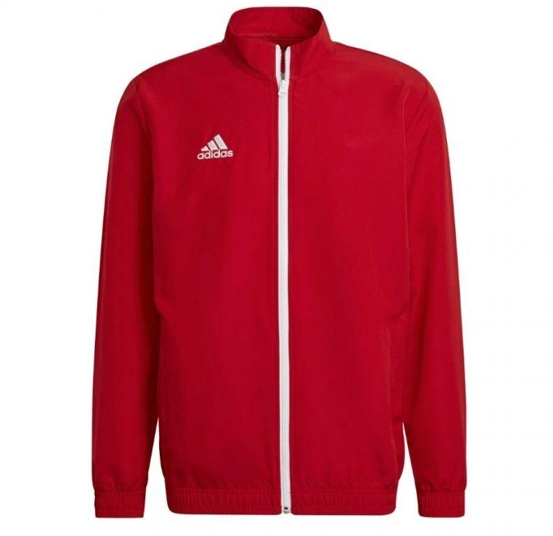 Adidas Entrada 22 Pristatymo Striukė M H57536 džemperis