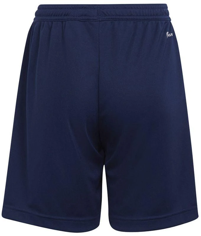 Adidas Entrada 22 Šortai Jaunuoliams H57565