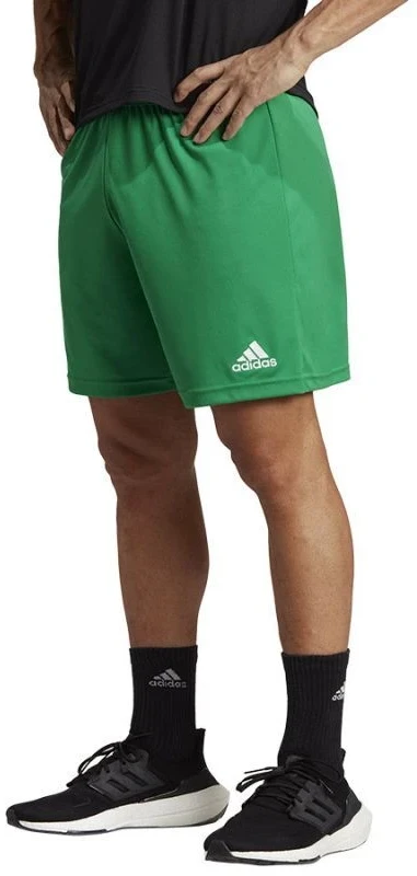Adidas ENTRADA 22 šortai vyrams IC7405