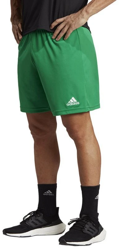 Adidas ENTRADA 22 šortai vyrams IC7405