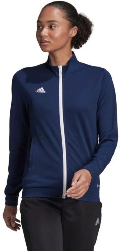 Adidas Entrada 22 sportinis džemperis moterims H57528