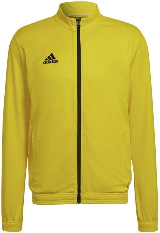 Adidas Entrada 22 sportinis džemperis vyrams M HI2134