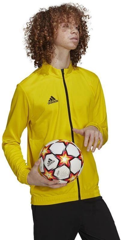 Adidas Entrada 22 sportinis džemperis vyrams M HI2134