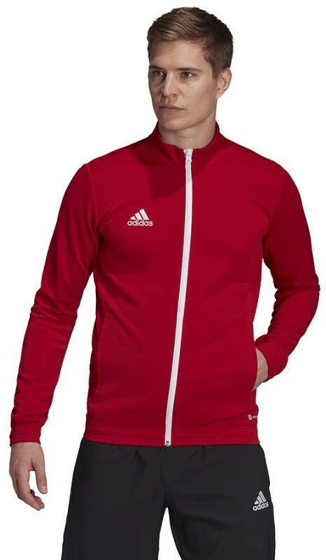 Adidas Entrada 22 sportinis džemperis vyrams M H57537
