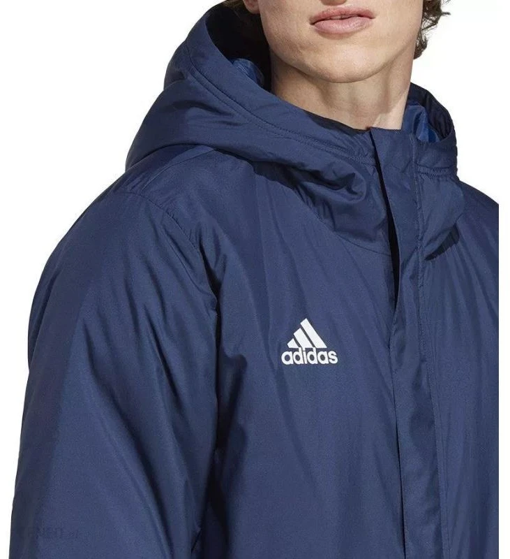 Adidas Entrada 22 Stadioninis švarkas M IB6077