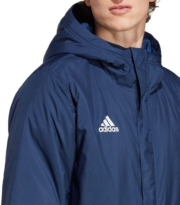 Adidas Entrada 22 Stadioninis švarkas M IB6077