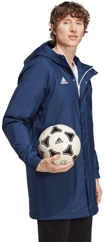 Adidas Entrada 22 Stadioninis švarkas M IB6077