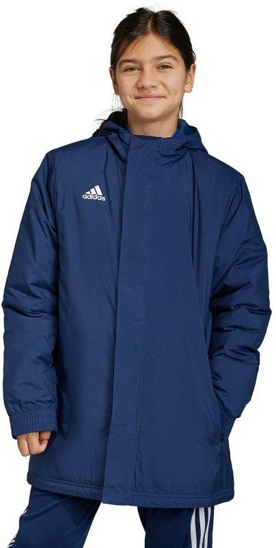 Adidas Entrada 22 Stadium Jr IB6079 striukė