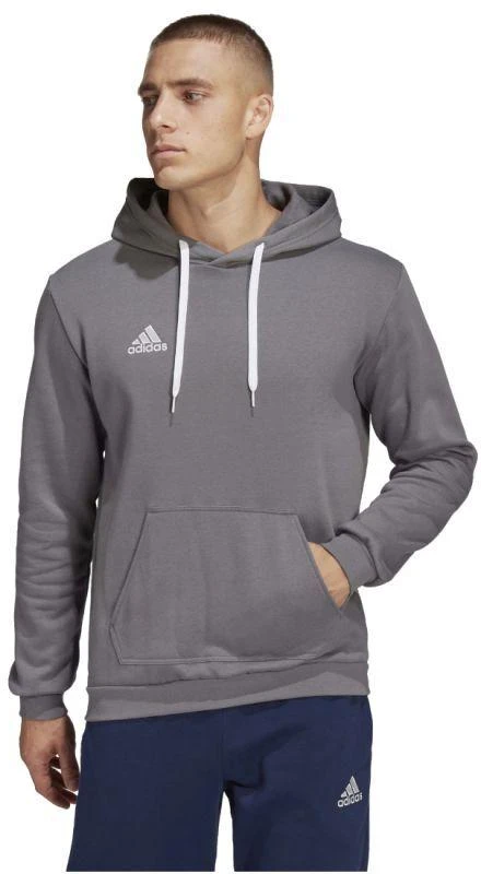 Adidas Entrada 22 Sweat M HB0578 džemperis