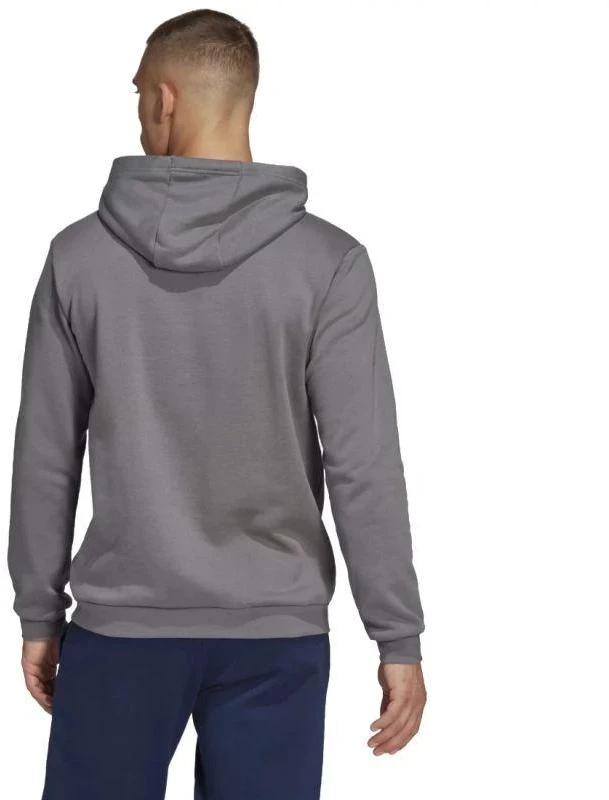 Adidas Entrada 22 Sweat M HB0578 džemperis