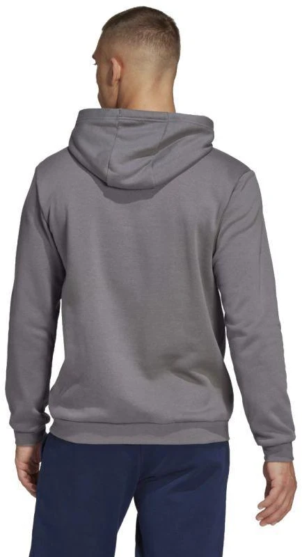 Adidas Entrada 22 Sweat M HB0578 džemperis