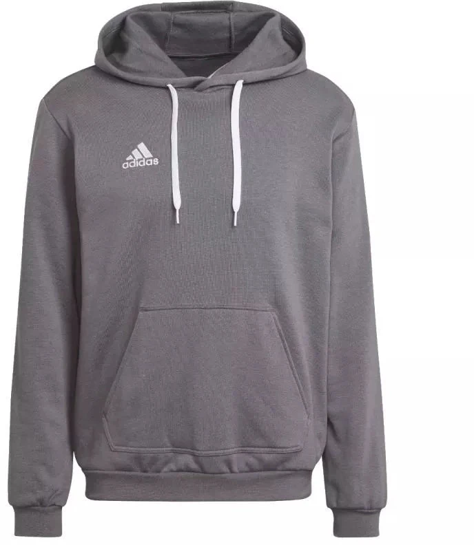 Adidas Entrada 22 Sweat M HB0578 džemperis