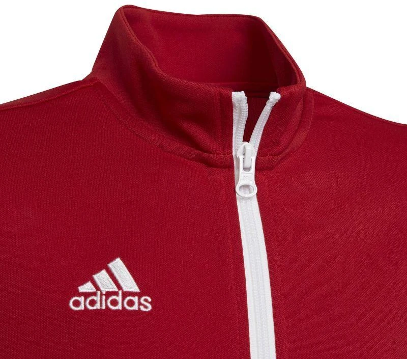 Adidas Entrada 22 Track Jr H57563 džemperis