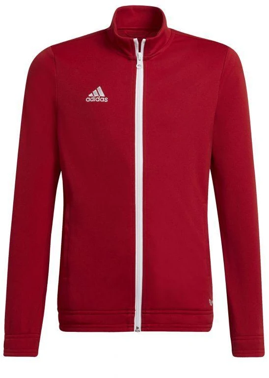 Adidas Entrada 22 Track Jr H57563 džemperis