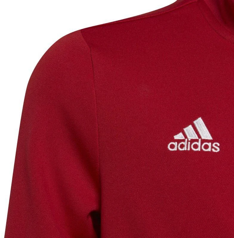 Adidas Entrada 22 Track Jr H57563 džemperis