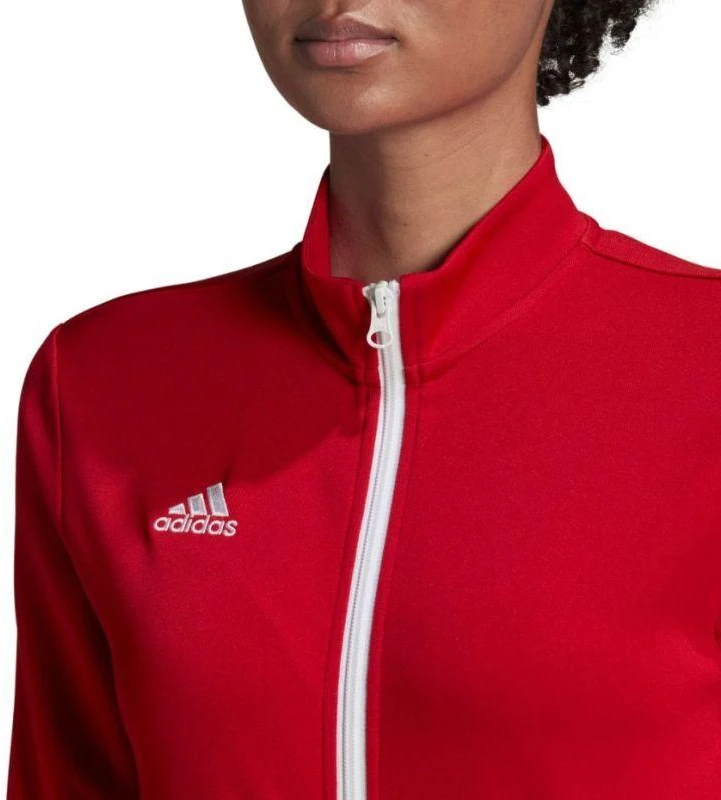 Adidas Entrada 22 Treneris W H57562 džemperis