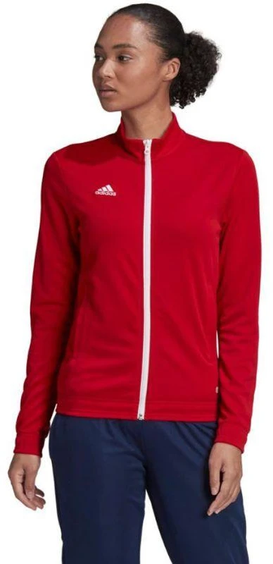 Adidas Entrada 22 Treneris W H57562 džemperis