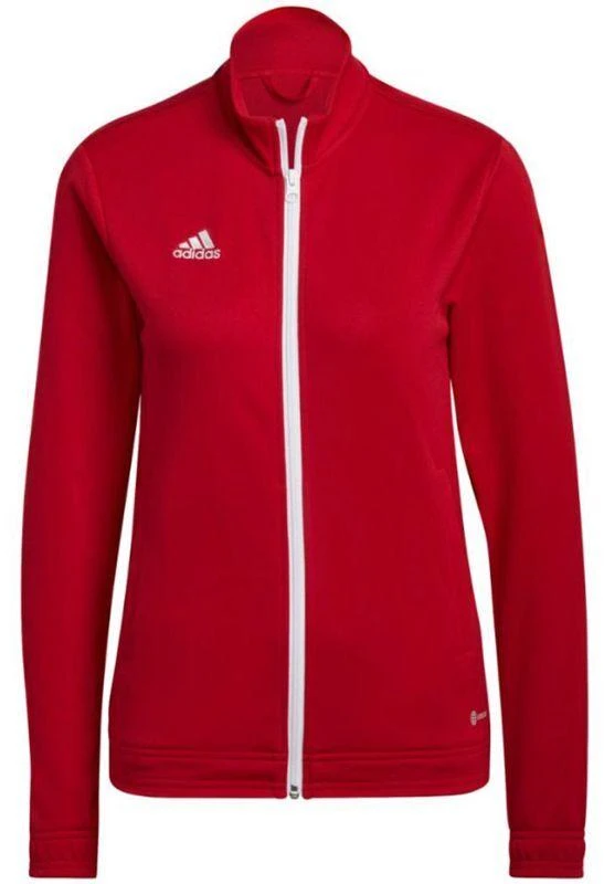 Adidas Entrada 22 Treneris W H57562 džemperis