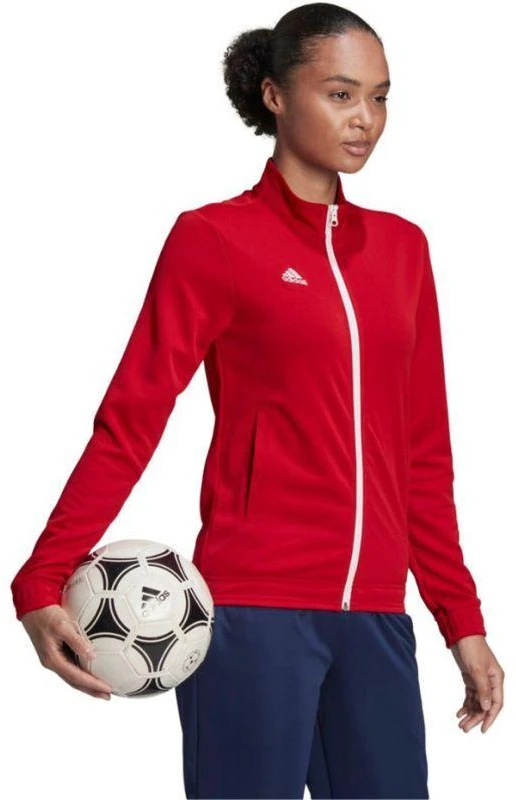 Adidas Entrada 22 Treneris W H57562 džemperis