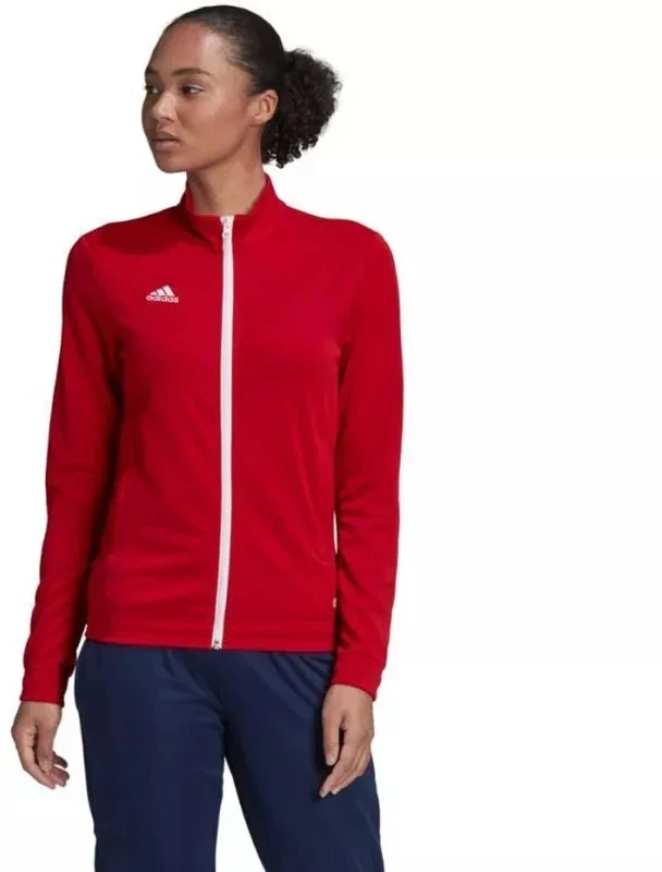 Adidas Entrada 22 Treneris W H57562 džemperis