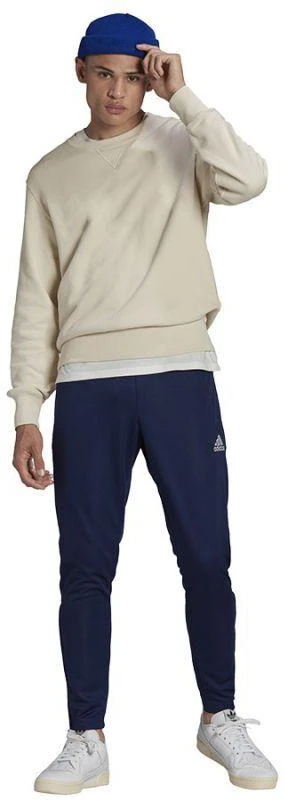 Adidas Entrada 22 Treniruočių Kelnės M HC0333
