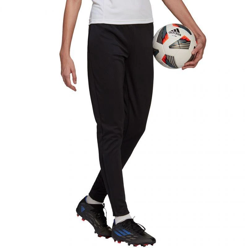 Adidas Entrada 22 treniruočių kelnės moterims HC0335