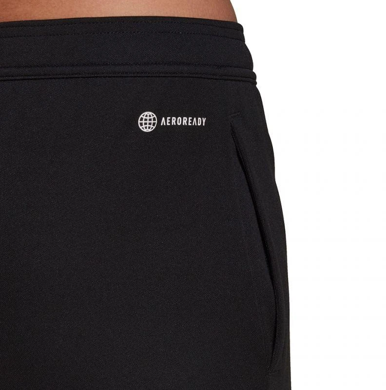 Adidas Entrada 22 treniruočių kelnės moterims HC0335